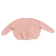 thumbnail image 1 of Toddler Baby Fall Winter Sweaters  Long Sleeve Knitted Pullover Clothes, 1 of 6