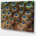 thumbnail image 2 of Peacock Bird Tail Feathers in Close Up - Animal Canvas Art Print, 2 of 4