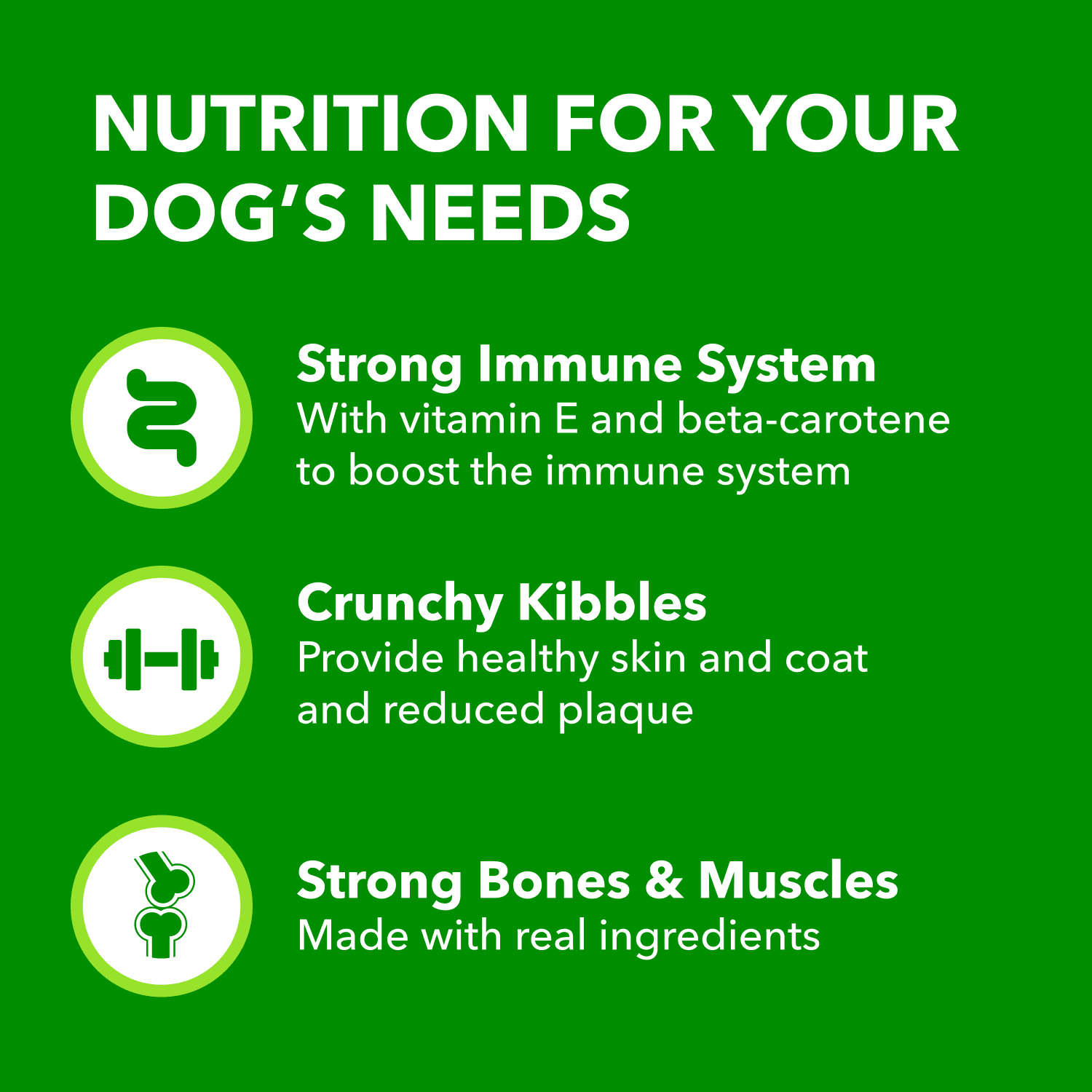 Iams Proactive Health Vieillissement en Santé Sénior Adulte Nourriture Sèche pour Chien Recette au Poulet & Grains Entiers 6.8KG