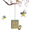 thumbnail image 2 of 1 Pc Hanging Suet Bird Feeder Metal Mesh Platform Outdoors Garden Yard Attracting Decor, 2 of 8