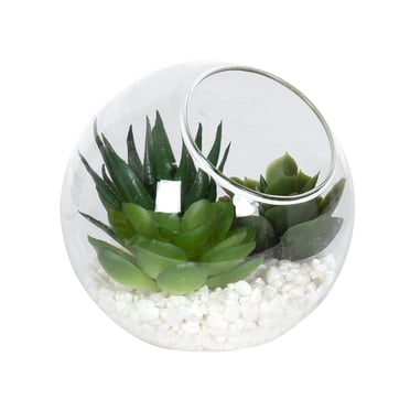 DesignOvation 3.75"H Angled Glass Globe Succulent Terrarium