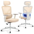 thumbnail image 2 of EDTara Mesh Ergonomic Office Chair, High-Back Swivel Design With Adjustable Lumbar Support, 3d Armrests and Reclining Back, 2 of 8
