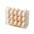 thumbnail image 3 of MesaSe Egg Container for Refrigerator 3-Tier Holder Rack with Handle & Flipping Tier Time Marker 30 Counts, 3 of 3