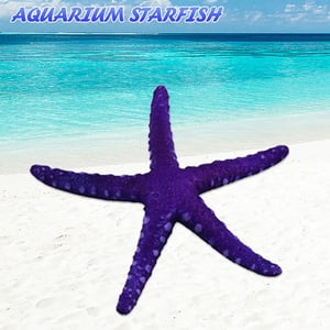 TIMIFIS Fish Tank Accessories Decorations Fish Tank Decoration Simulation Stars Aquarium Fish Tank Luminous StarsFall/Winter