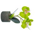thumbnail image 2 of facefd Artificial Orchid Flower & Pot Simulation Potted Flower Home Office Table artificial Floral Decor, JH1735, Green, 2 of 4