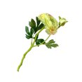 thumbnail image 4 of Baohd 2-head Artificial Camellia Bouquet Simulation Flower Table Centerpiece artificial Floral Decor, Green, 4 of 7