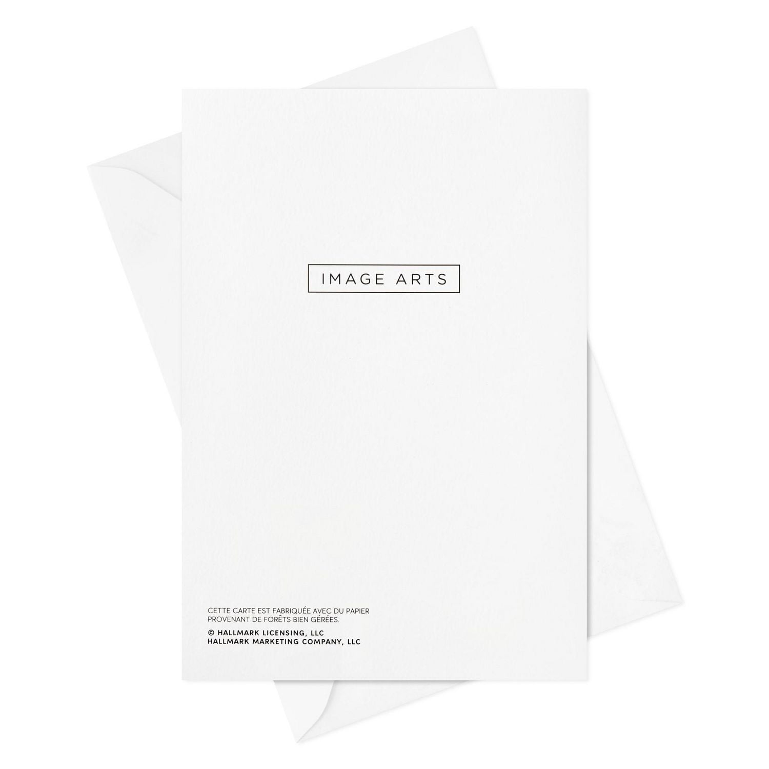 Boîte de cartes de Noël, Image Arts, « A Season to Remember », paquet de 28 cartes