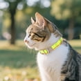 thumbnail image 4 of Adjustable Reflective Nylon Dog Collar - Heavy Duty Design with Metal Quick Release Buckle for Medium to Large Dogs Ideal for Outdoor Activities and Training, 4 of 4