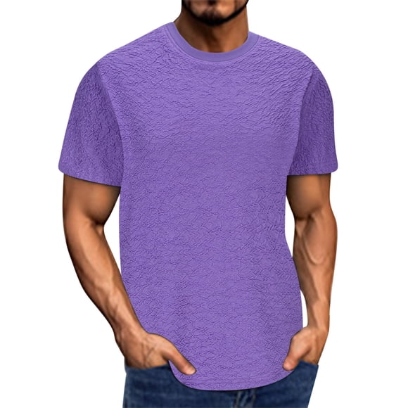 ZMFXJPE Men's T Shirts Short Sleeve Soft Crew Neck Tshirt Lightweight Tee Shirts Casual Summer Basic Tops Purple, L