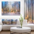 thumbnail image 1 of Winter at Mariinsky Gardens - Landscape Photography Canvas Print, 1 of 3