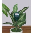 thumbnail image 4 of Expert Gardener Soil Moisture Meter - Analog Needle Display Technology, Plastic Body & Metal Probe Plant Soil Water Monitor, Indoor & Outdoor Use, 4 of 5