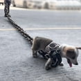 thumbnail image 2 of Imitation Plastic Large Iron Chain Thick Dog Leash Dog-walking Supply Creat, 2 of 8
