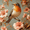 Robin Jardin Floral, variante sur Qisvanset Art Mural sur Toile Encadrée 12x16 Pouces Perroquet Tropical Botanique Oiseau Exotique Décoration Murale
