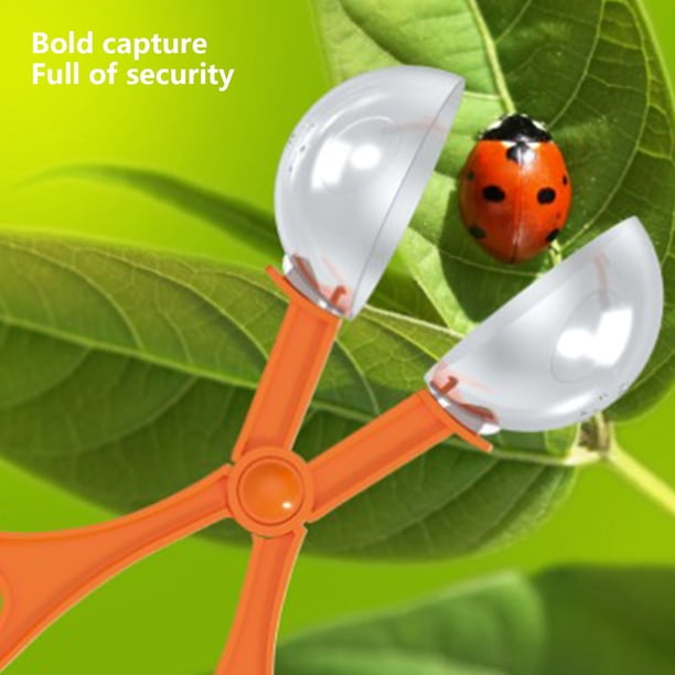 Acheter Boîte d'Observation d'Insectes d'Extérieur pour Enfants Loupe Jouet Exploration Attrape Papillons Pêche Aventure