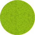 thumbnail image 1 of Ahgly Tapis Rond Lavable en Machine Intérieur Transitionnel Vert, 4 Pieds Rond, 1 of 7