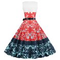 thumbnail image 3 of Drppepioner Femmes Grande Taille, Robes d'Été pour Femmes Plage à Imprimé Floral Sans Manches Robe Débardeur Évasée, 3 of 8