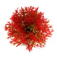 thumbnail image 1 of 1 Pcs Aquarium Plants Decorations Artificial Grass Ball Green Red 3.74x3.74 Inch, 1 of 7