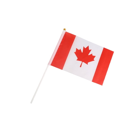 TIELUTT Canadian Hand Held Flags in the National Day Style of Canadian Home Decoration Home Flag Pole String of Flags Bunting Holiday Banners Front Porch Flags Kids