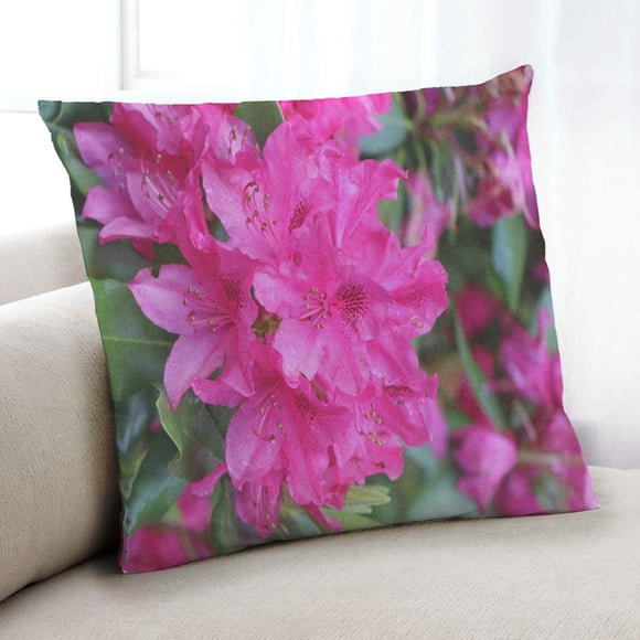 Ahgly Company Color Focus Pink Indoor Throw Pillow, 18 inch by 18 inch