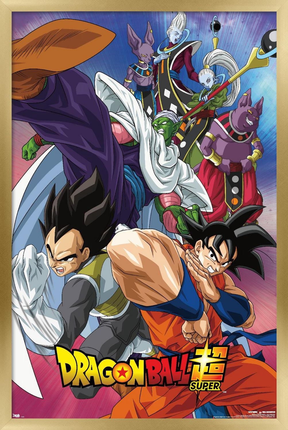 Dragon Ball : Super - Groupe