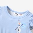 thumbnail image 3 of Disney Princess Toddler Girl Dresses Frozen Elsa Anna Character Ruffled Sleeveless Dress Size 2-6, 3 of 5
