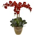 thumbnail image 1 of Nearly Natural 1 Triple Stem Phalaenopsis Silk Arrangement, Autumn, 1 of 3