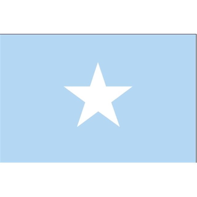 Drapeau de la Somalie Nyl-Glo 5 Pi X 8 Pi