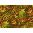 thumbnail image 1 of Ahgly Company Tapis Rectangulaire Lavable en Machine Intérieur Transitionnel Rouge Tomate, 5 Pieds x 8 Pieds, 1 of 7