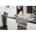 thumbnail image 2 of Spire 6-Burner Built-In Propane Gas Island Grill Head in Stainless Steel with Rear Burner, 2 of 6