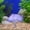 Purple, variant on Fish Tank Landscaping Decor, Fluorescent Simulation Jellyfish, Silica Gel Material, Safe for Aquarium Fish, Lifelike Marine Life, Creates Realistic Underwater World, Hiding Place for Fish, Ornament