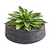 thumbnail image 3 of Nearly Natural 8400 Large Succulent Artificial Plant in Decorative Bowl, 3 of 4