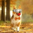 thumbnail image 5 of Stylish Pet Sunglasses Protective Goggles With Adjustable Head Strap For Shielding During Outdoor Adventures And Safe Driving Experiences, 5 of 5