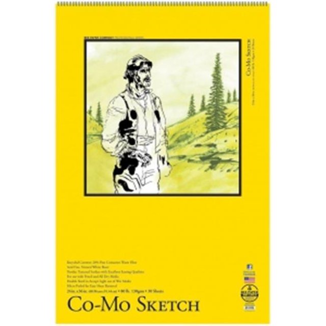 Bee Paper B820S30-2436 24 x 36 Po Co - Mo Sketch Pad