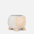 thumbnail image 4 of Linen Chest Small Hedgehog Planter, 4 of 4