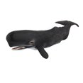 thumbnail image 1 of Lifelike Whales Shaped Toy Realistic Motion Simulation Animal Model for Kids, 1 of 1