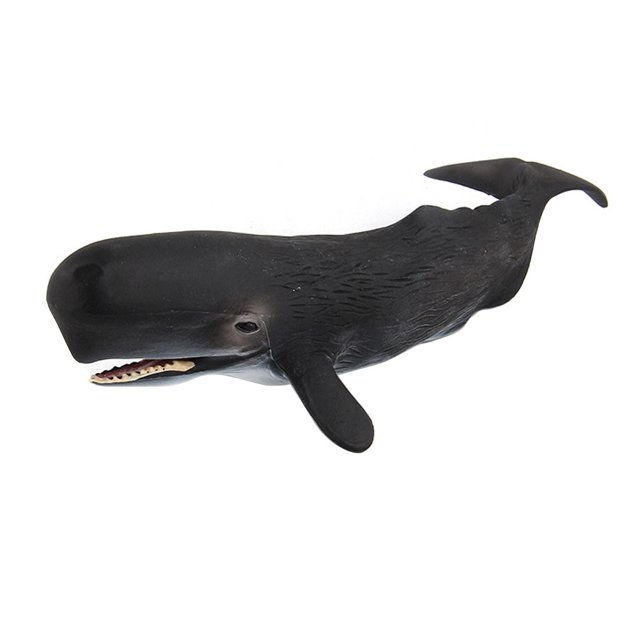 Lifelike Whales Shaped Toy Realistic Motion Simulation Animal Model for Kids