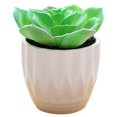 thumbnail image 1 of Coofit Mini Potted Succulent Lifelike - Artificial Plant Faux Succulent in Pot for Home, 1 of 4