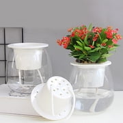 Self Watering Pot for Indoor Plants, Clear Flowers Pot Planter with Deep Reservoir for Spider Plant, Orchid, African Violet, 2.56x4.33x5.12"