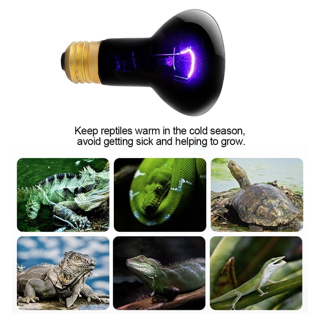 Lampe de Chauffage pour Animaux de Compagnie, Conception Ergonomique à Installation Rapide pour l'Intérieur