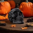 thumbnail image 4 of Todaioua Resin Skull, Human Head Model for Home Decoration, Halloween Statue, Skull Model for Bookshelf and Desktop, 4 of 7