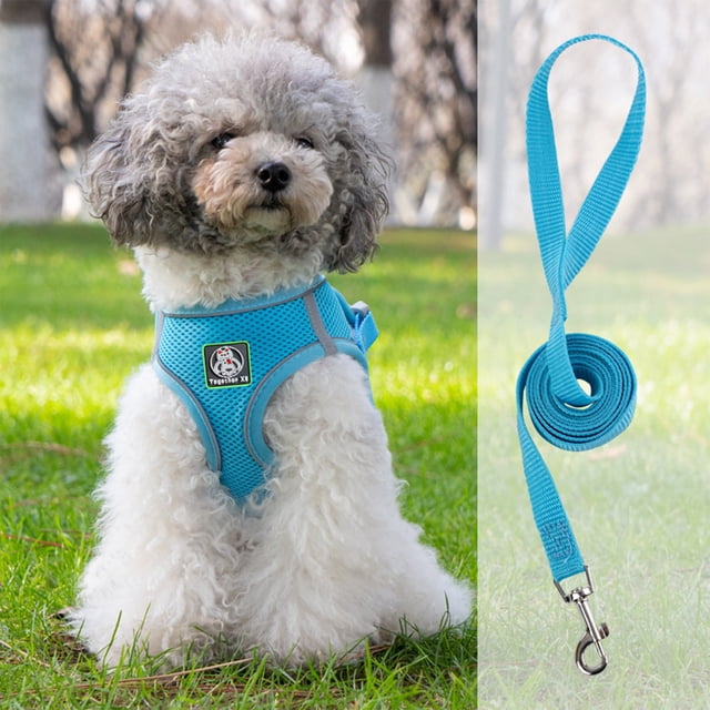 Meitianfacai Pet Harnesses And Leash Set\ Soft And Breathable Vests With Reflective Strip\ Escape Proof Pet Harnesses\ Easy To Wear For Pet Walking And Running
