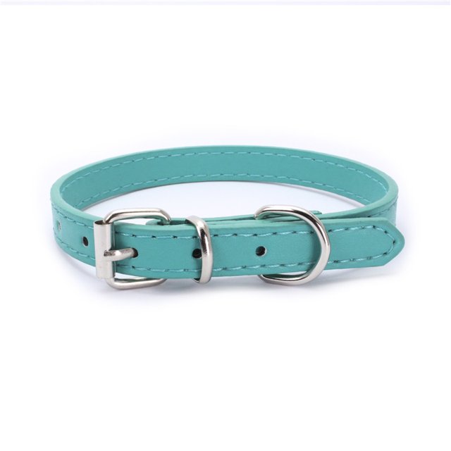 Collier Doux pour Chien, Sangle de Cou pour Petit Chiot Chaton Vert TTP : 30*1.0 cm