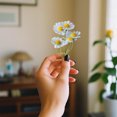 thumbnail image 4 of LSLJS 10 Mini Artificial Daisies Small Marguerite Flowers Fake Spring Flowers Decorative Imitation Flowers with Stems Home Decoration Variety, Plastic Simulated Daisy, 4 of 6
