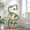 wedding arch decoration Under $5 a3, variant on SSZMDLB Artificial Tree Vine, Simulation Grass for Wedding Decoration, Fake Eucalyptus Garland for Arch, Faux Greenery for Wall Decor, Artificial Leaves for Background, Fake Plants for Party