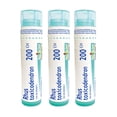 thumbnail image 1 of Boiron Rhus Toxicodendron – Homeopathic Medicine, Box of 3 Tubes (4g Each, Approx. 80 Pellets per Tube), 1 of 6