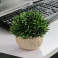 thumbnail image 4 of Artificial Plant Potted Lifelike Round Fake Greenery Plant Faux Plant Decoration, 4 of 10