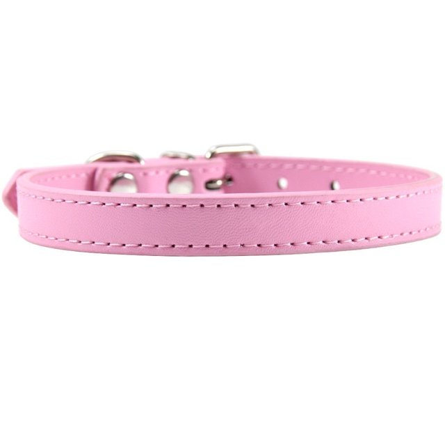 Collier pour Chat en Cuir Personnalisé