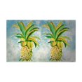 thumbnail image 1 of Betsy Drake DM400G Tapis de Porte Ananas - 30 x 50 Po., 1 of 1