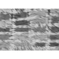 thumbnail image 1 of Ahgly Company Tapis d'Intérieur Lavables en Machine à l'Eau, 2' x 3', 1 of 7