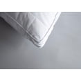 thumbnail image 2 of Silk Serenity Pillow King, 2 of 3